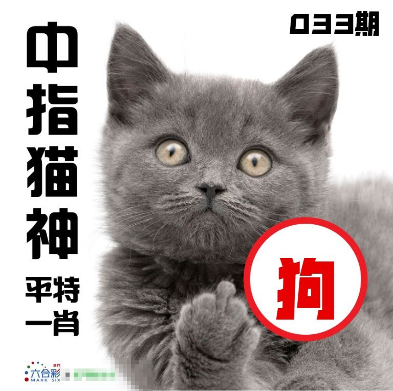 033期中指猫神[图]