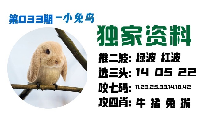 033期小兔鸟[图]